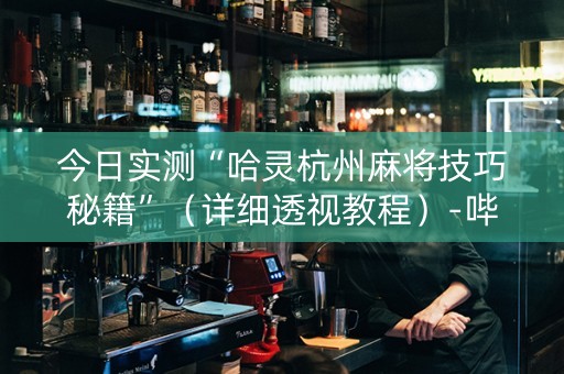今日实测“哈灵杭州麻将技巧秘籍”（详细透视教程）-哔哩哔哩