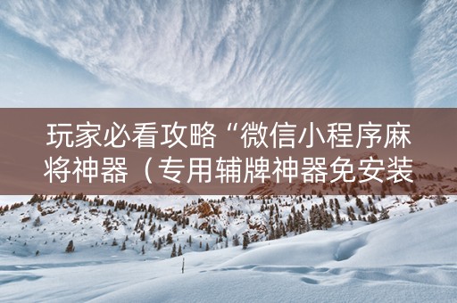 玩家必看攻略“微信小程序麻将神器（专用辅牌神器免安装）