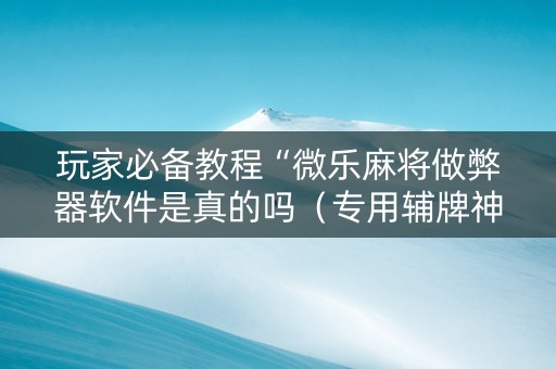 玩家必备教程“微乐麻将做弊器软件是真的吗（专用辅牌神器免安装）