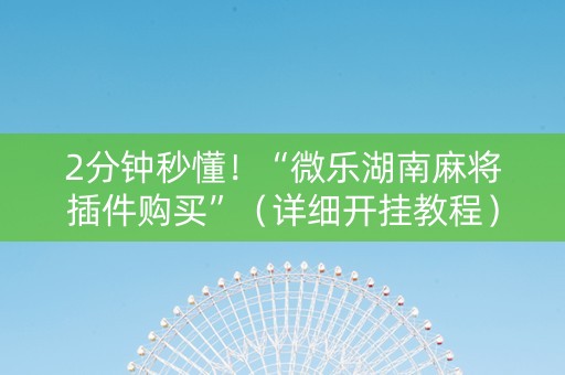 2分钟秒懂！“微乐湖南麻将插件购买”（详细开挂教程）-哔哩哔哩