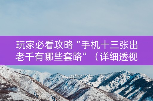 玩家必看攻略“手机十三张出老千有哪些套路”（详细透视教程）-哔哩哔哩