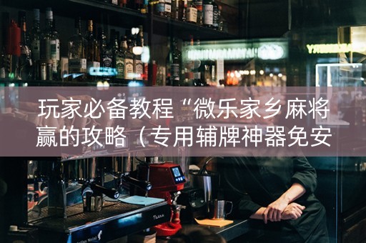 玩家必备教程“微乐家乡麻将赢的攻略（专用辅牌神器免安装）