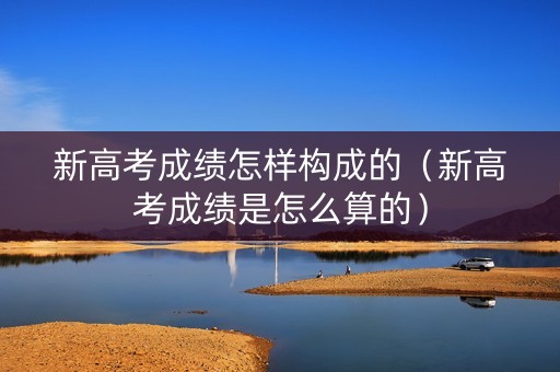 新高考成绩怎样构成的（新高考成绩是怎么算的）