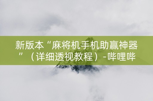 新版本“麻将机手机助赢神器”（详细透视教程）-哔哩哔哩
