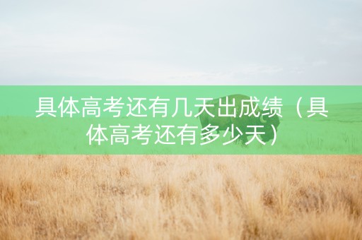 具体高考还有几天出成绩（具体高考还有多少天）
