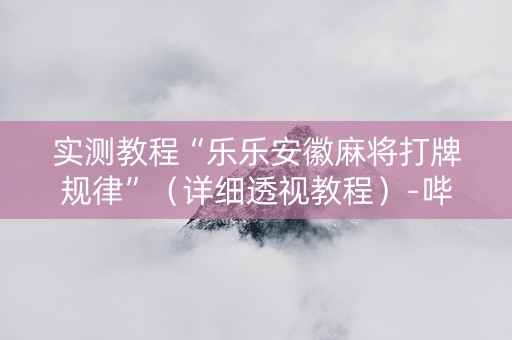 实测教程“乐乐安徽麻将打牌规律”（详细透视教程）-哔哩哔哩