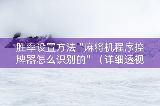 胜率设置方法“麻将机程序控牌器怎么识别的”（详细透视教程）-哔哩哔哩