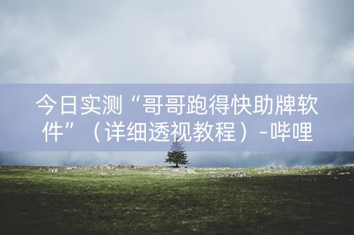 今日实测“哥哥跑得快助牌软件”（详细透视教程）-哔哩哔哩