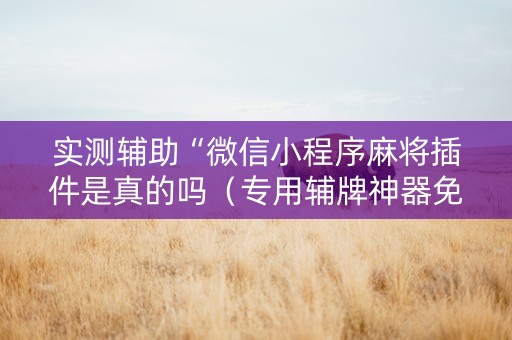 实测辅助“微信小程序麻将插件是真的吗（专用辅牌神器免安装）
