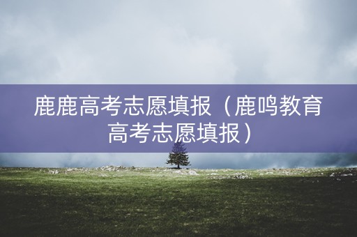 鹿鹿高考志愿填报（鹿鸣教育高考志愿填报）