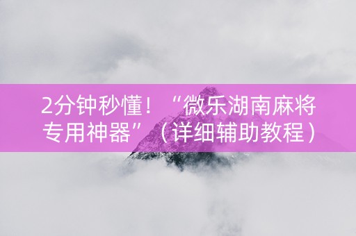 2分钟秒懂！“微乐湖南麻将专用神器”（详细辅助教程）-哔哩哔哩