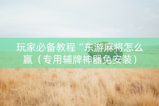 玩家必备教程“东游麻将怎么赢（专用辅牌神器免安装）