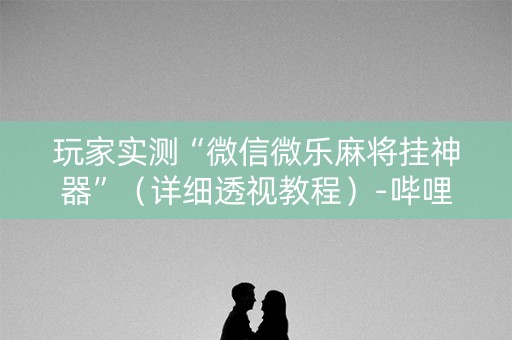 玩家实测“微信微乐麻将挂神器”（详细透视教程）-哔哩哔哩