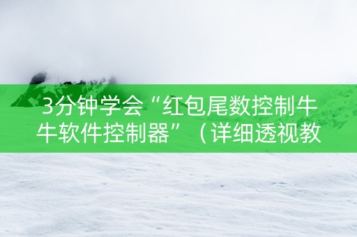 3分钟学会“红包尾数控制牛牛软件控制器”（详细透视教程）-哔哩哔哩