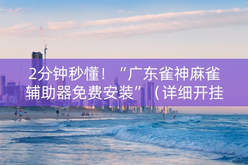 2分钟秒懂！“广东雀神麻雀辅助器免费安装”（详细开挂教程）-哔哩哔哩