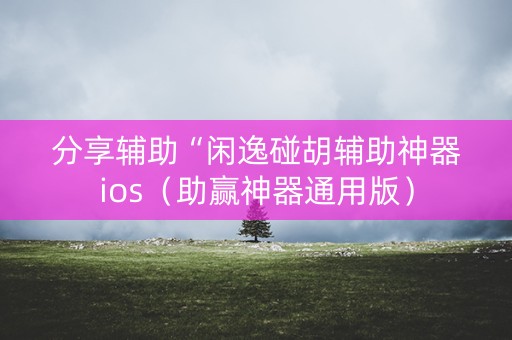 分享辅助“闲逸碰胡辅助神器ios（助赢神器通用版）