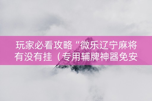 玩家必看攻略“微乐辽宁麻将有没有挂（专用辅牌神器免安装）