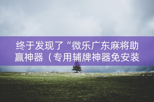 终于发现了“微乐广东麻将助赢神器（专用辅牌神器免安装）