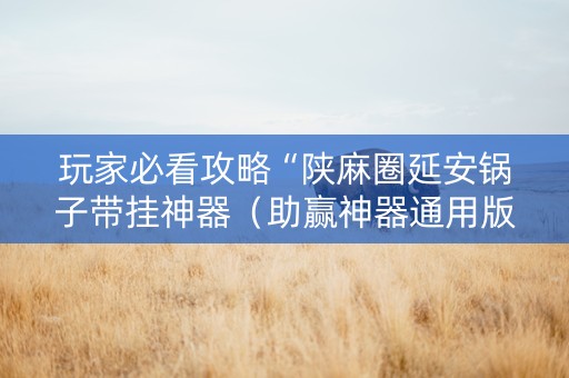 玩家必看攻略“陕麻圈延安锅子带挂神器（助赢神器通用版）