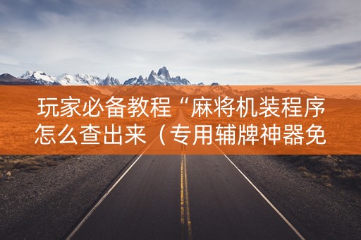 玩家必备教程“麻将机装程序怎么查出来（专用辅牌神器免安装）