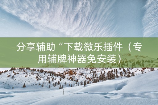 分享辅助“下载微乐插件（专用辅牌神器免安装）