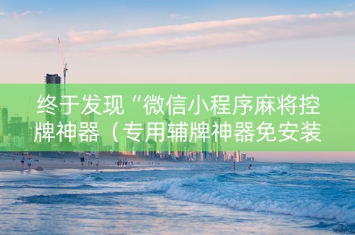 终于发现“微信小程序麻将控牌神器（专用辅牌神器免安装）