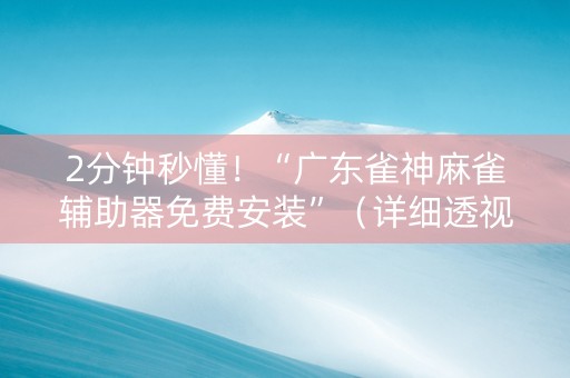 2分钟秒懂！“广东雀神麻雀辅助器免费安装”（详细透视教程）-哔哩哔哩