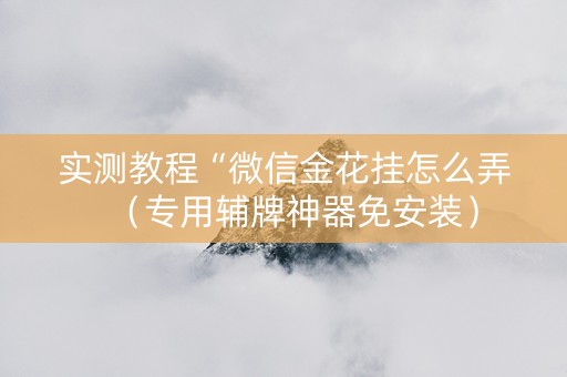 实测教程“微信金花挂怎么弄（专用辅牌神器免安装）