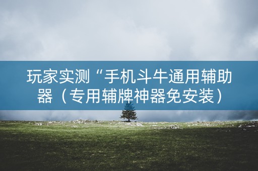 玩家实测“手机斗牛通用辅助器（专用辅牌神器免安装）