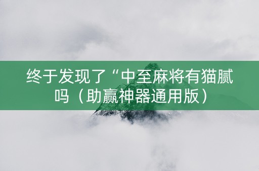终于发现了“中至麻将有猫腻吗（助赢神器通用版）