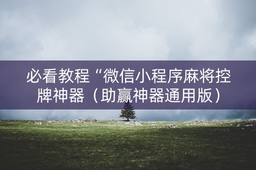 必看教程“微信小程序麻将控牌神器（助赢神器通用版）