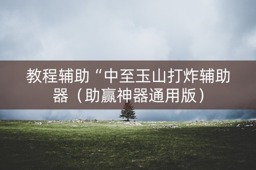 教程辅助“中至玉山打炸辅助器（助赢神器通用版）