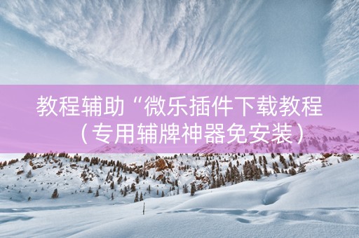 教程辅助“微乐插件下载教程（专用辅牌神器免安装）