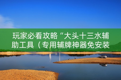 玩家必看攻略“大头十三水辅助工具（专用辅牌神器免安装）