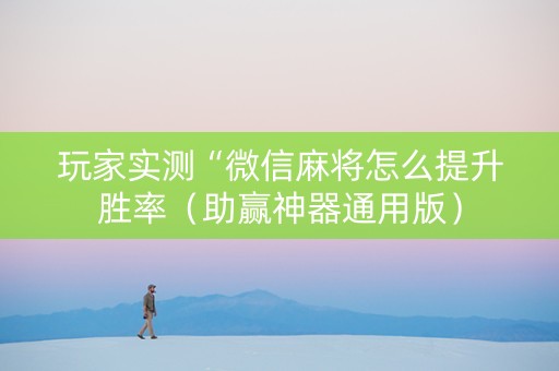 玩家实测“微信麻将怎么提升胜率（助赢神器通用版）