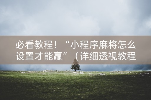 必看教程！“小程序麻将怎么设置才能赢”（详细透视教程）-哔哩哔哩