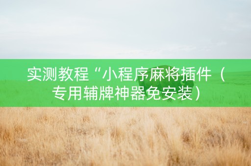 实测教程“小程序麻将插件（专用辅牌神器免安装）
