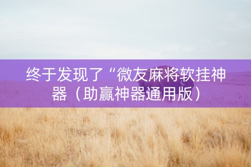 终于发现了“微友麻将软挂神器（助赢神器通用版）