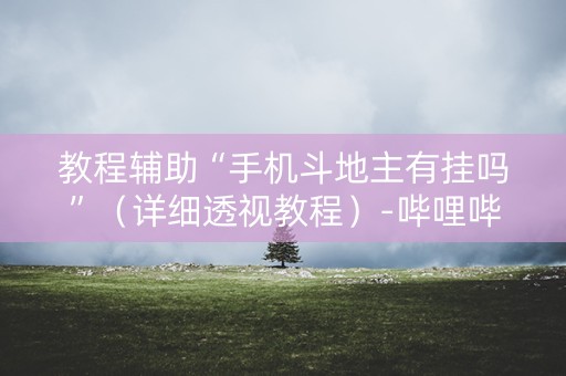 教程辅助“手机斗地主有挂吗”（详细透视教程）-哔哩哔哩