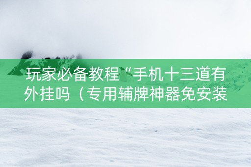 玩家必备教程“手机十三道有外挂吗（专用辅牌神器免安装）