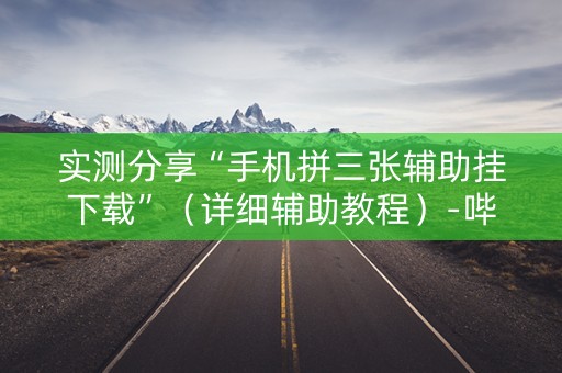 实测分享“手机拼三张辅助挂下载”（详细辅助教程）-哔哩哔哩