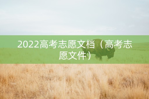 2022高考志愿文档（高考志愿文件）