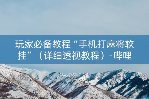 玩家必备教程“手机打麻将软挂”（详细透视教程）-哔哩哔哩