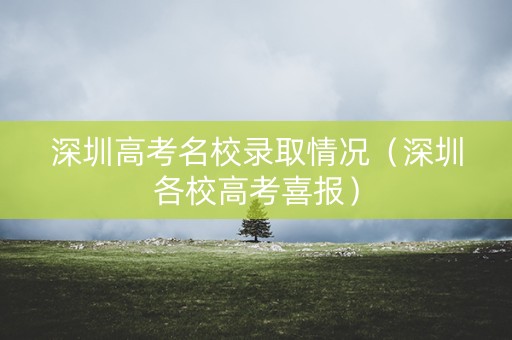 深圳高考名校录取情况（深圳各校高考喜报）