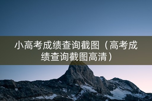 小高考成绩查询截图（高考成绩查询截图高清）