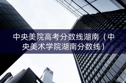 中央美院高考分数线湖南（中央美术学院湖南分数线）