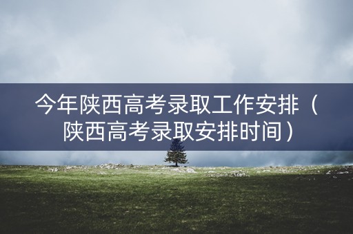 今年陕西高考录取工作安排（陕西高考录取安排时间）