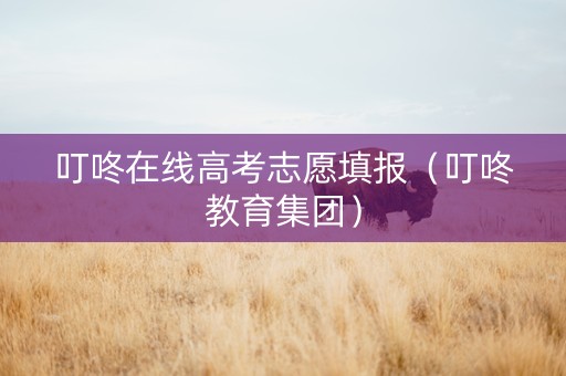 叮咚在线高考志愿填报（叮咚教育集团）