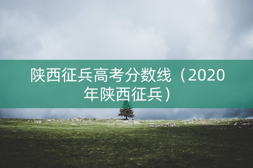 陕西征兵高考分数线（2020年陕西征兵）