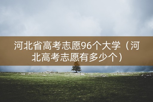 河北省高考志愿96个大学（河北高考志愿有多少个）